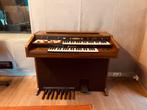 Orgue Hammond note-a-chord 1980 en noyer, Musique & Instruments, Enlèvement, Utilisé, 2 claviers, Orgue