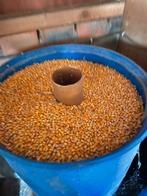 Losse mais, Zakelijke goederen, Landbouw | Veevoer, Ophalen