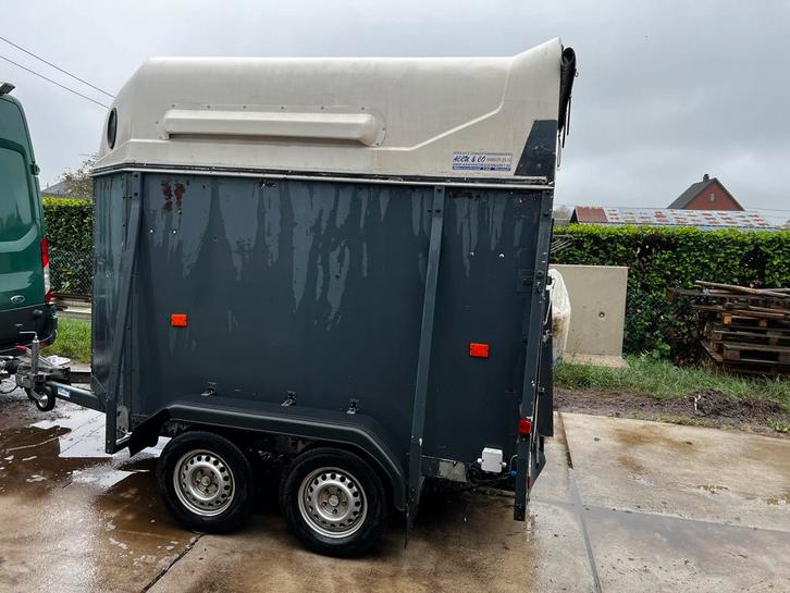 2 Paard,schapen,… dieren remork. Paarden trailer, Dieren en Toebehoren, Paarden en Pony's | Trailers en Aanhangwagens, Gebruikt