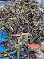 Brandhout, Tuin en Terras, Brandhout, Ophalen, Beukenhout, Blokken