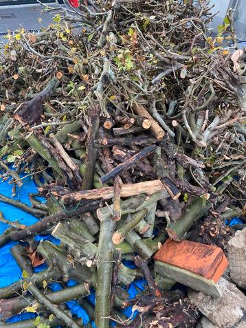 Brandhout beschikbaar voor biedingen