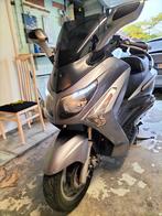 SYM GTS 125cc EVO, 1 cylindre, Sym, Scooter, Particulier