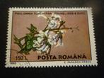 Roemenië/Roumanie 1995 Mi 5131(o) Gestempeld/Oblitéré, Timbres & Monnaies, Timbres | Europe | Autre, Envoi