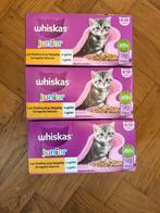 Whiskas junior, Dieren en Toebehoren, Ophalen, Kat