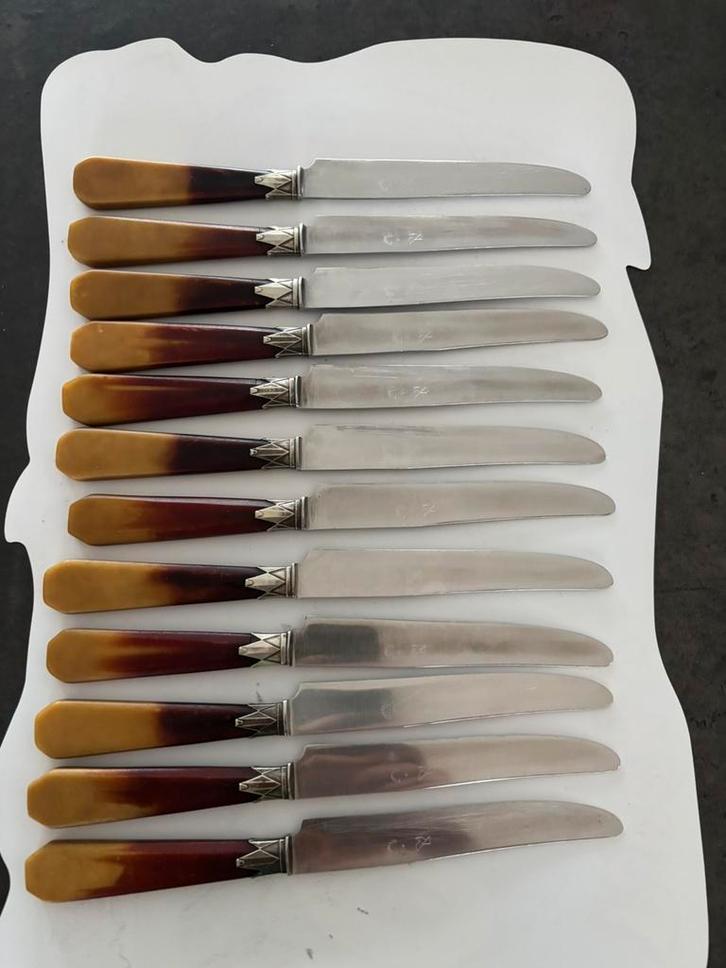 Coffret de 12 grands couteaux anciens Pradel – inox, Maison & Meubles, Cuisine | Couverts, Utilisé, Ensemble de couverts, Inox ou Chrome