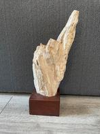 Versteend hout, Verzamelen, Ophalen of Verzenden, Fossiel