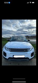 Range Rover Evoque, 5 places, 4 portes, Diesel, Achat