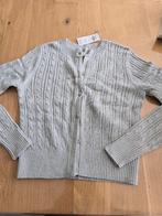 Gilet hollister (s), Kleding | Dames, Truien en Vesten, Ophalen, Zo goed als nieuw, Grijs
