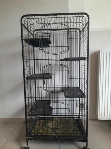 Cage animaux domestique beschikbaar voor biedingen