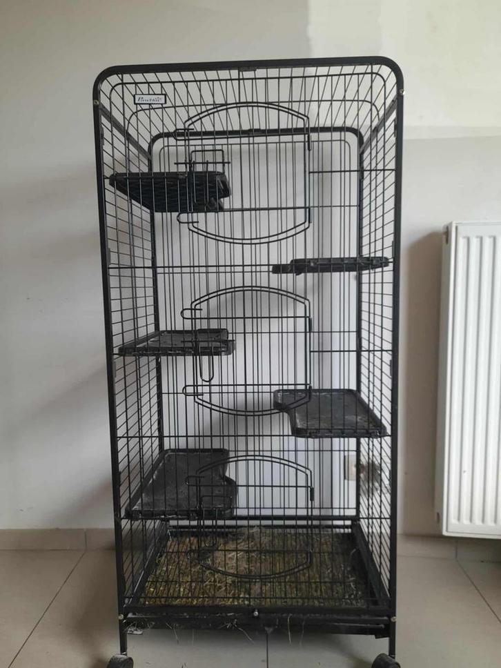 Cage animaux domestique, Dieren en Toebehoren, Knaagdieren en Konijnen | Hokken en Kooien, Zo goed als nieuw, Kooi, Chinchilla