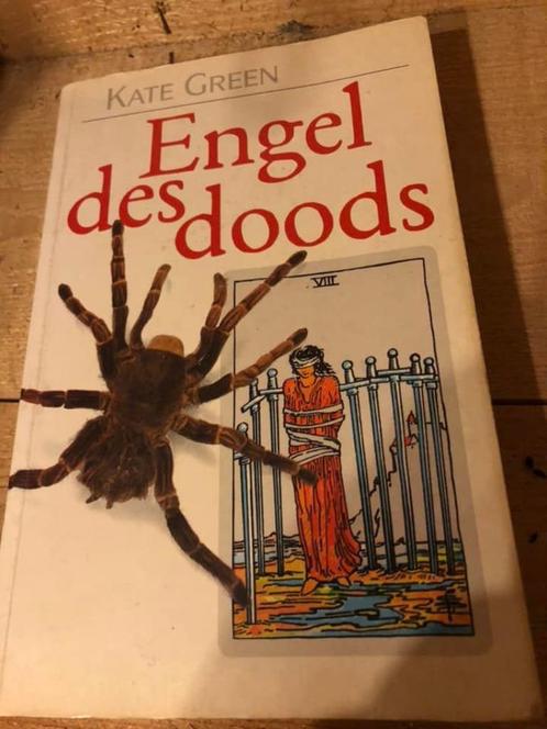 Engel des doods, Kate Green, Livres, Thrillers, Comme neuf, Enlèvement ou Envoi