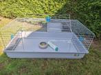 Konijnenhok, Ophalen, Gebruikt, Kooi, Cavia