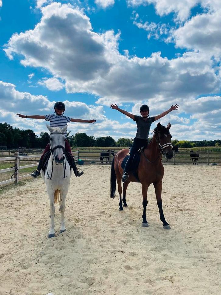 Paardrijlessen - buitenritten - wandelingen, Dieren en Toebehoren, Paarden en Pony's | Verzorgingsproducten, Zo goed als nieuw