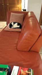 canapé méridienne en cuir, 75 à 100 cm, 200 à 250 cm, Enlèvement, Utilisé