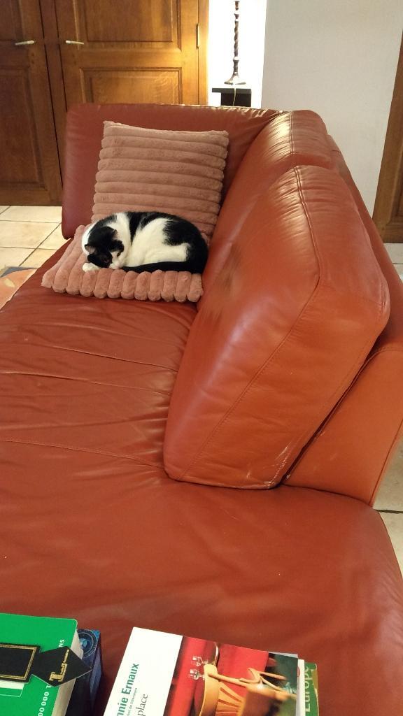 canapé méridienne en cuir, Maison & Meubles, Canapés | Sofas & Chaises Longues, Utilisé, Deux personnes, 200 à 250 cm, 75 à 100 cm