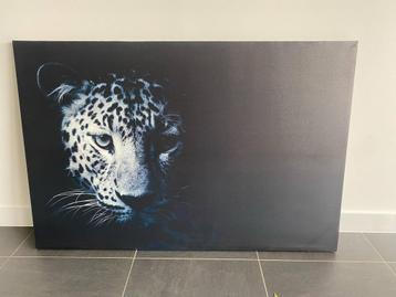 Gedrukt doek met tijger zwart wit beschikbaar voor biedingen