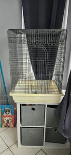 Cage pour calopsitte ou autre oiseaux, Ophalen of Verzenden, Gebruikt, Metaal, Vogelkooi