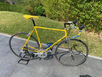 Velo Faggin  beschikbaar voor biedingen
