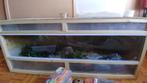 Terrarium voor reptielen en amfibieën, Dieren en Toebehoren, Reptielen en Amfibieën | Toebehoren, Ophalen, Nieuw, Terrarium of Paludarium