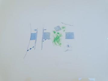 Roger Raveel blauw groen tuingezicht beschikbaar voor biedingen