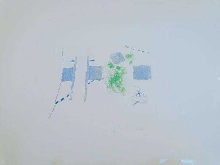 Roger Raveel blauw groen tuingezicht, Antiek en Kunst, Kunst | Schilderijen | Modern, Ophalen
