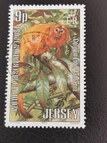 Jersey 1984 - animaux sauvages - singes - Tamarin lion doré