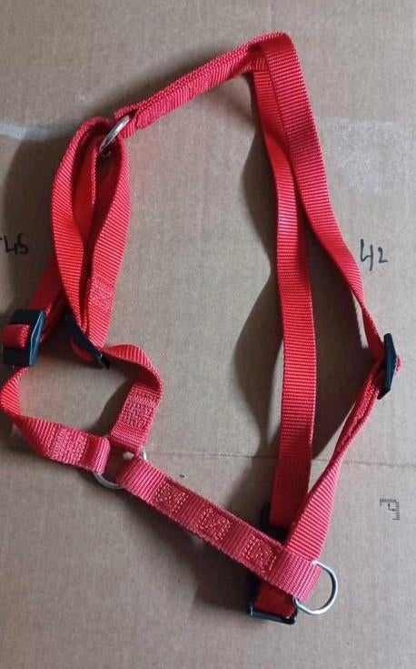 Harnais chien 42/45 cm 10 euro +laisse enrouleur 5euro, Animaux & Accessoires, Enlèvement