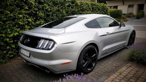 ruiten tinten blinderen, Auto diversen, Tuning en Styling, Ophalen of Verzenden
