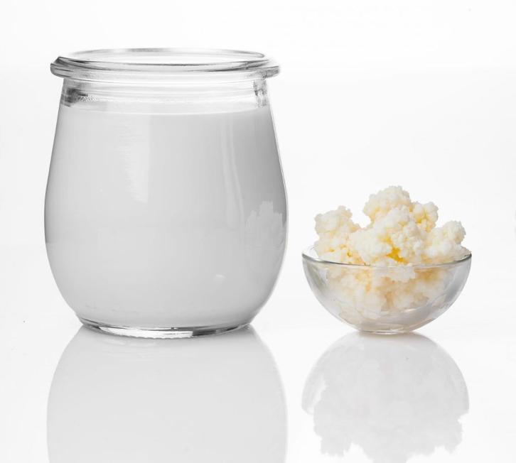 verse yoghurt bloemetjes kefir korrels, Diversen, Levensmiddelen, Ophalen