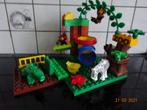 Duplo 4961, Funny zoo met aapjes, zebra....Op 2 bouwplaatjes, Kinderen en Baby's, Ophalen of Verzenden, Duplo