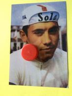 wielerfoto team solo eddy merckx, Verzenden, Zo goed als nieuw
