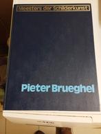 Een boek over Pieter Breugel schilder kleur donker blauw, Ophalen