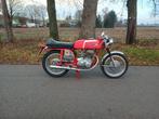 MV Agusta 350, Motoren, 2 cilinders, Sport, Minimaal motorrijbewijs A2, 350 cc