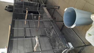 Groot vogelkooi  beschikbaar voor biedingen