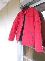 Veste Homme Hiver, Rouge, Celio, Enlèvement, Porté
