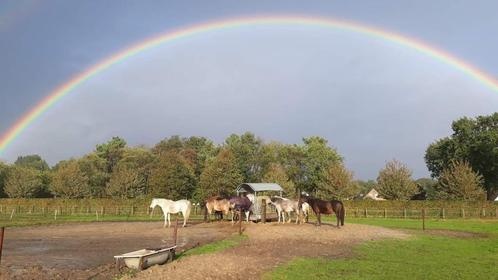 Stal met veel weidegang, Dieren en Toebehoren, Stalling en Weidegang, Stalling, Weidegang, 2 of 3 paarden of pony's