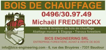 BOIS DE CHAUFFAGE DE QUALITE beschikbaar voor biedingen