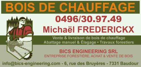 BOIS DE CHAUFFAGE DE QUALITE, Tuin en Terras, Brandhout, Blokken, Ophalen of Verzenden
