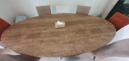 Mooie ovale tafel 250x125 houtlook laminaat, Huis en Inrichting, Tafels | Eettafels, Zo goed als nieuw, 100 tot 150 cm, 200 cm of meer