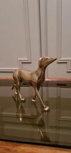 Messing hond, Ophalen