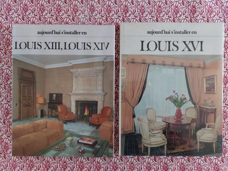 Boeken die zich vandaag vestigen in Louis XIII, XIV XVI, Boeken, Kunst en Cultuur | Architectuur, Zo goed als nieuw, Stijl of Stroming