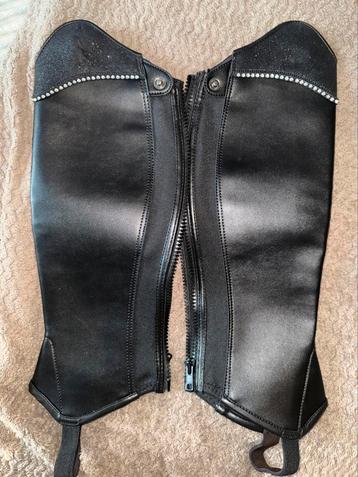 Mini Chaps met paard beschikbaar voor biedingen