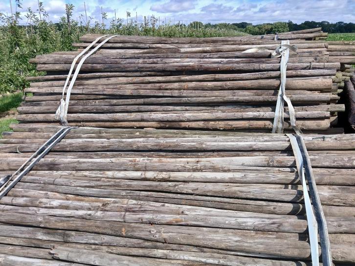 Te koop ongepunte fruitboompalen van 2,50 meter lang., Tuin en Terras, Palen, Balken en Planken, Gebruikt, Palen, 180 tot 250 cm