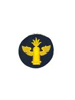 Kriegsmarine badge, Collections, Objets militaires | Seconde Guerre mondiale, Enlèvement ou Envoi