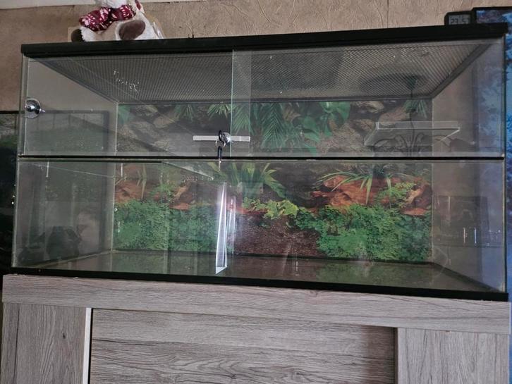 Hamsterkooi gerbilarium, Dieren en Toebehoren, Knaagdieren en Konijnen | Hokken en Kooien, Zo goed als nieuw, Ophalen
