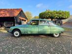 DS Super 5, Auto's, Voorwielaandrijving, 4 deurs, 4 cilinders, DS