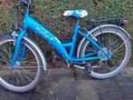 Meisjesfiets 22 inch, Fietsen en Brommers, Ophalen, 22 inch