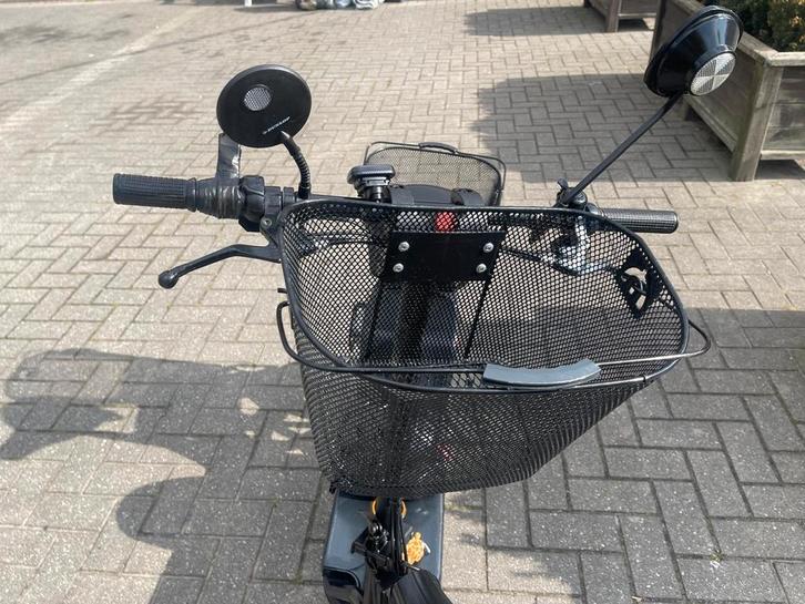 Tante Paula elektrische fiets, Tuin en Terras, Vijver-toebehoren, Zo goed als nieuw, Ophalen of Verzenden
