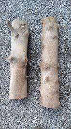 buis pour sculture, Ophalen