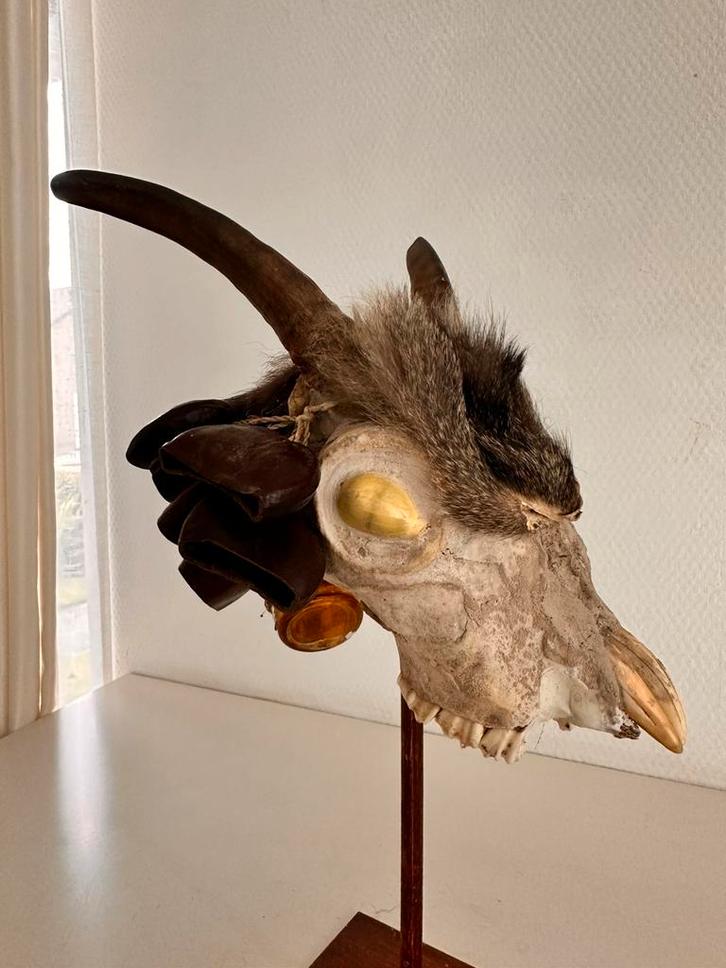 VOODOO fetisj Fon - Benin - Unicum ! Coll. Antropoloog, Antiek en Kunst, Kunst | Niet-Westerse kunst, Verzenden